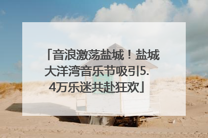 音浪激荡盐城！盐城大洋湾音乐节吸引5.4万乐迷共赴狂欢