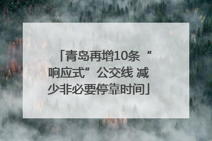 青岛再增10条“响应式”公交线 减少非必要停靠时间
