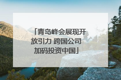 青岛峰会展现开放引力 跨国公司加码投资中国