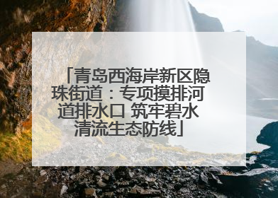 青岛西海岸新区隐珠街道：专项摸排河道排水口 筑牢碧水清流生态防线