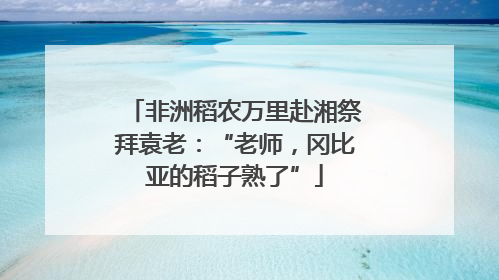 非洲稻农万里赴湘祭拜袁老：“老师，冈比亚的稻子熟了”