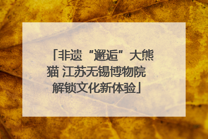 非遗“邂逅”大熊猫 江苏无锡博物院解锁文化新体验