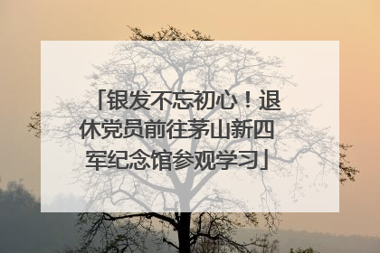银发不忘初心！退休党员前往茅山新四军纪念馆参观学习