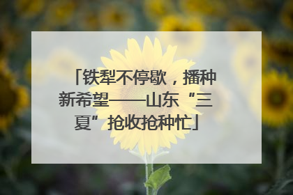 铁犁不停歇，播种新希望——山东“三夏”抢收抢种忙