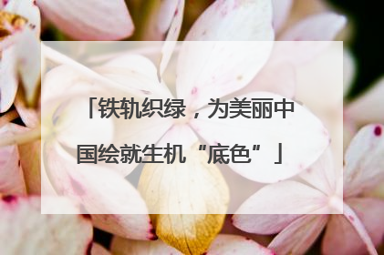 铁轨织绿，为美丽中国绘就生机“底色”