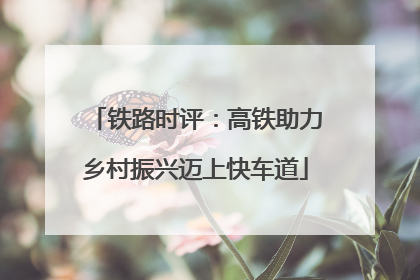 铁路时评：高铁助力乡村振兴迈上快车道