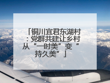 铜川宜君东湖村：党群共建让乡村从“一时美”变“持久美”