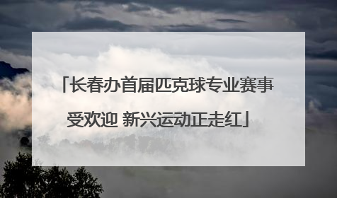 长春办首届匹克球专业赛事受欢迎 新兴运动正走红