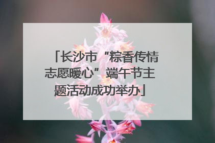 长沙市“粽香传情志愿暖心”端午节主题活动成功举办