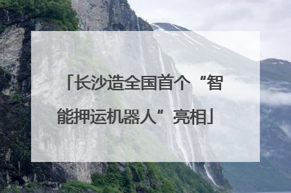 长沙造全国首个“智能押运机器人”亮相