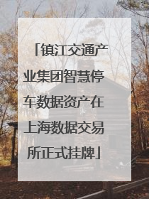 镇江交通产业集团智慧停车数据资产在上海数据交易所正式挂牌