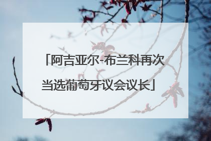 阿吉亚尔-布兰科再次当选葡萄牙议会议长