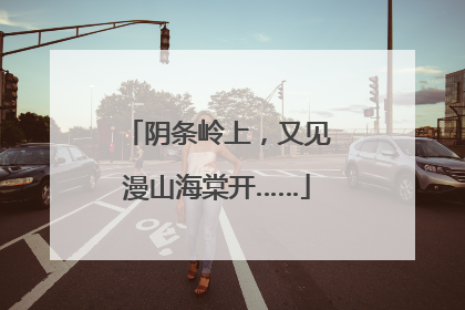 阴条岭上，又见漫山海棠开……