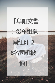 阜阳交警：货车组队闯红灯 28名司机被拘