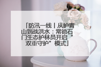 防汛一线丨从护青山到战洪水：常德石门生态护林员开启“双重守护”模式
