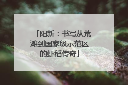 阳新：书写从荒滩到国家级示范区的虾稻传奇