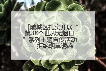 陵城区扎实开展“第38个世界无烟日”系列主题宣传活动——拒绝烟草诱惑 对第一支烟说不