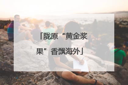 陇原“黄金浆果”香飘海外