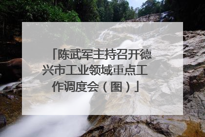 陈武军主持召开德兴市工业领域重点工作调度会（图）