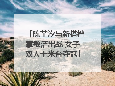 陈芋汐与新搭档掌敏洁出战 女子双人十米台夺冠
