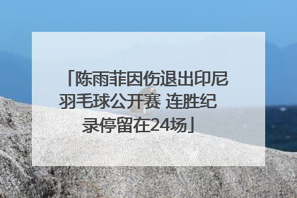陈雨菲因伤退出印尼羽毛球公开赛 连胜纪录停留在24场