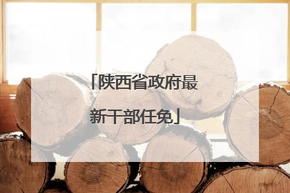 陕西省政府最新干部任免