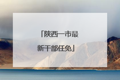 陕西一市最新干部任免