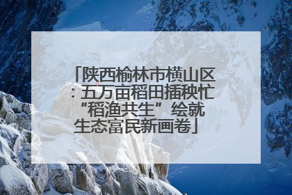 陕西榆林市横山区：五万亩稻田插秧忙 “稻渔共生”绘就生态富民新画卷