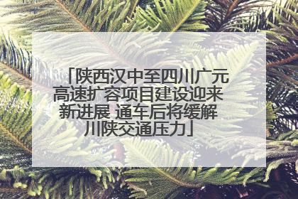 陕西汉中至四川广元高速扩容项目建设迎来新进展 通车后将缓解川陕交通压力