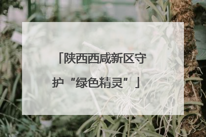 陕西西咸新区守护“绿色精灵”