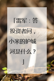雷军：答投资者问，小米的护城河是什么？