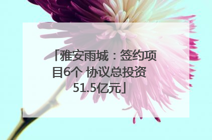 雅安雨城：签约项目6个 协议总投资51.5亿元