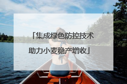 集成绿色防控技术助力小麦稳产增收