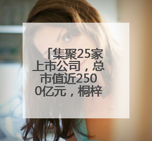 集聚25家上市公司，总市值近2500亿元，桐梓坡路风景这边独好——长沙有条“上市路”