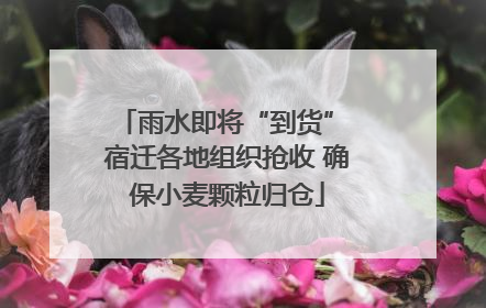 雨水即将“到货” 宿迁各地组织抢收 确保小麦颗粒归仓