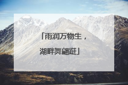 雨润万物生，湖畔舞翩跹