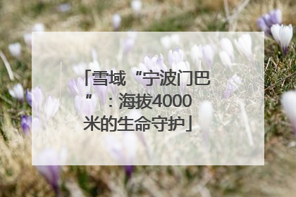 雪域“宁波门巴”：海拔4000米的生命守护