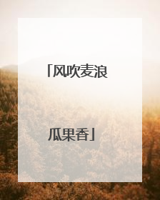 风吹麦浪 瓜果香