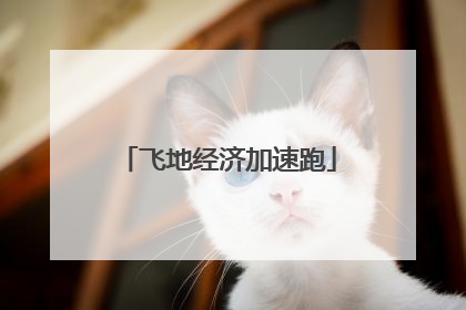 飞地经济加速跑