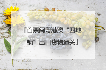 首票闽粤港澳“四地一锁”出口货物通关