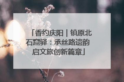 香约庆阳｜镇原北石窟驿：承丝路遗韵 启文旅创新篇章