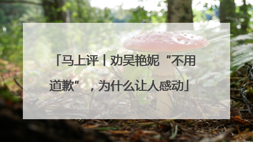 马上评丨劝吴艳妮“不用道歉”，为什么让人感动