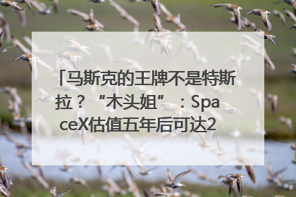 马斯克的王牌不是特斯拉？“木头姐”：SpaceX估值五年后可达2.5万亿美元！