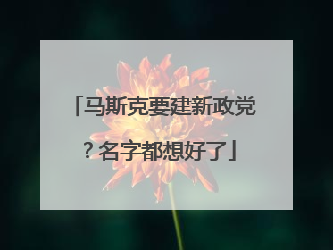 马斯克要建新政党？名字都想好了