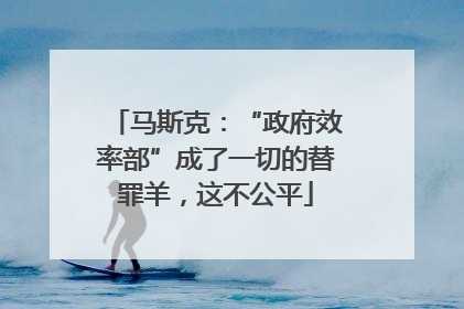 马斯克：“政府效率部”成了一切的替罪羊，这不公平