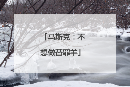 马斯克：不想做替罪羊