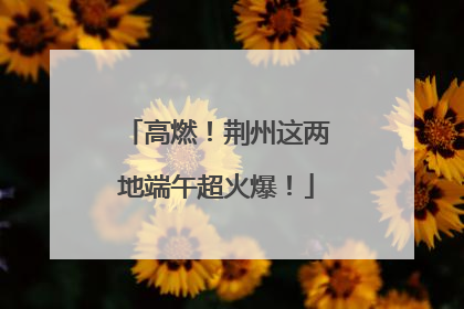 高燃！荆州这两地端午超火爆！
