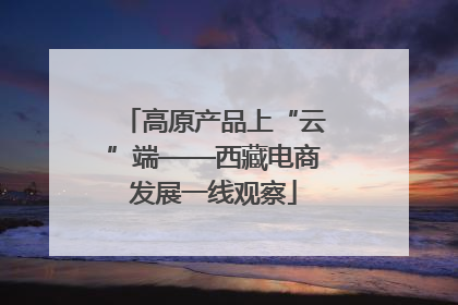 高原产品上“云”端——西藏电商发展一线观察