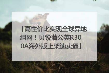 高性价比实现全球异地组网！贝锐蒲公英R300A海外版上架速卖通