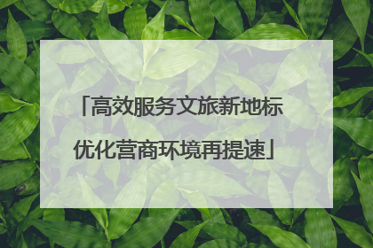 高效服务文旅新地标 优化营商环境再提速
